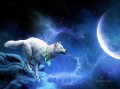 Wolf und Mond